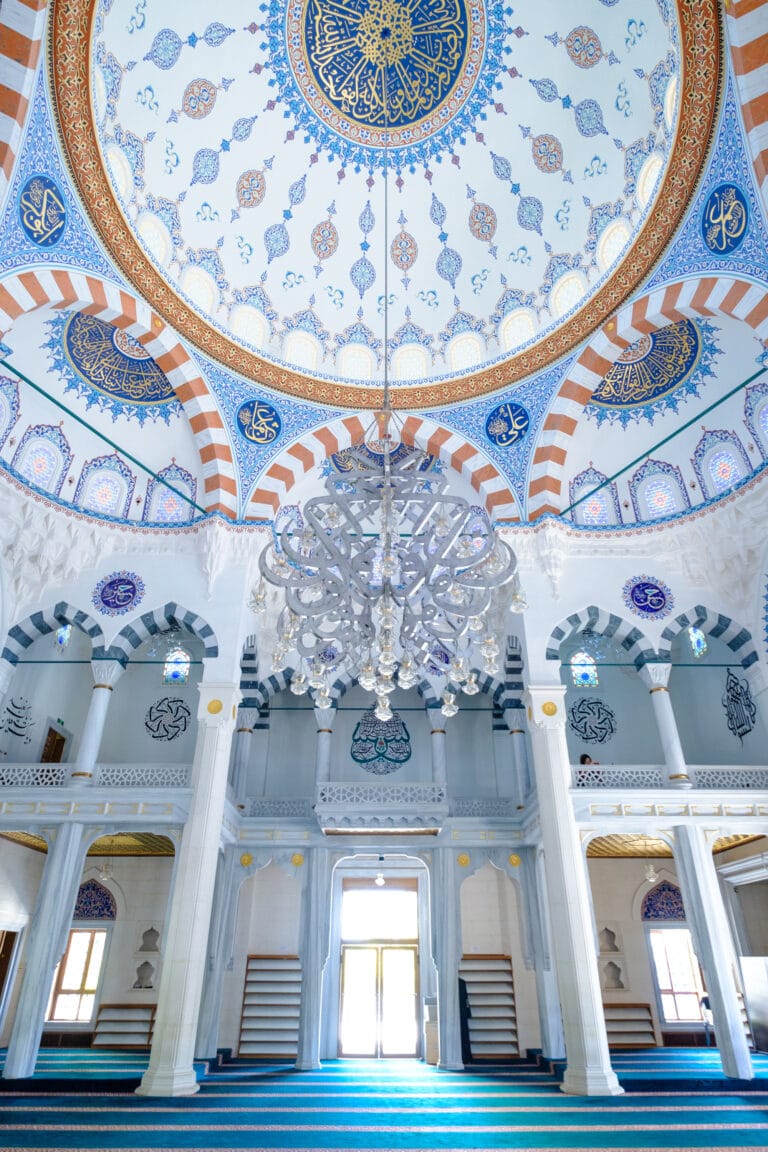 Sayaka_Shibahara_brightness