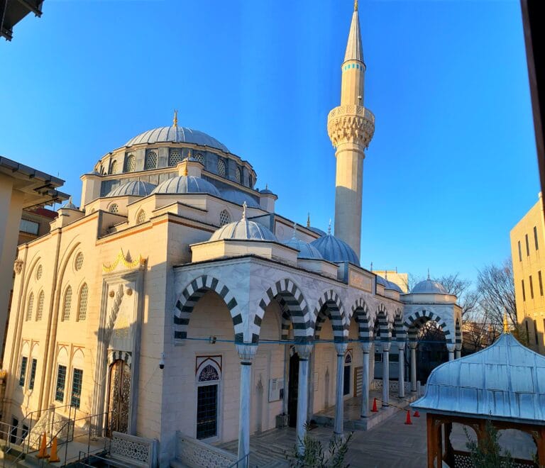 camii54