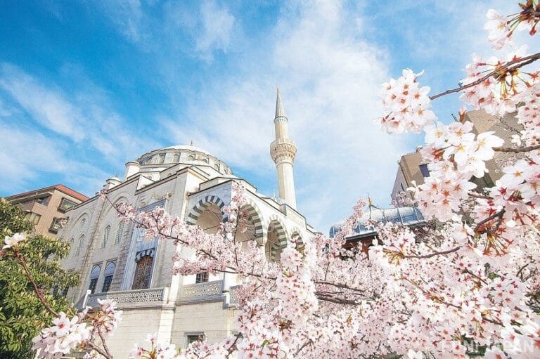 tokyo camii sakura home page